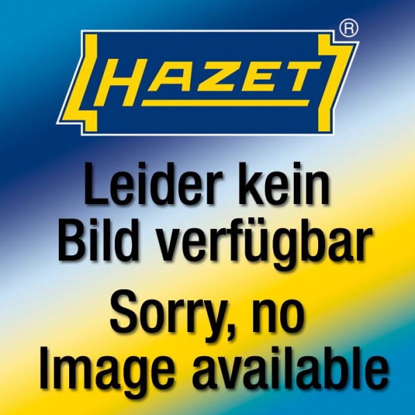 HAZET Vertikale Werkzeug-Lochtafel 179N-26