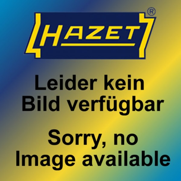 Hazet 2K-Weichschaum-Einlage, 163-59L