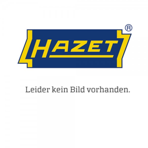 HAZET 2K-Weichschaum-Einlage 163-466L